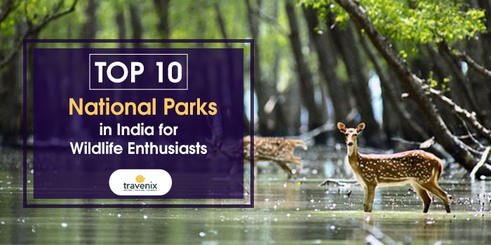 10 Must Visit National Parks Of India For Wildlife Safaris
