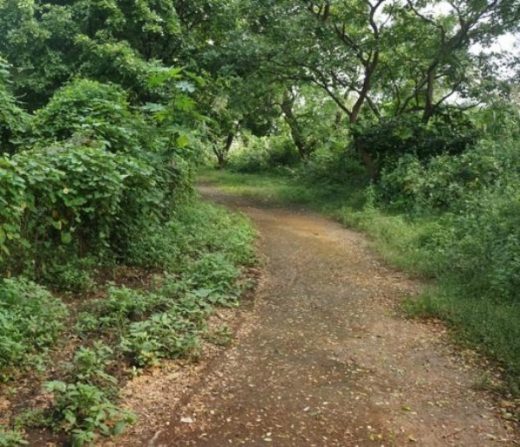 Top 6 Outdoor Places In Mumbai For Nature Lovers